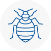 Bed Bug Extermination In Hinckley